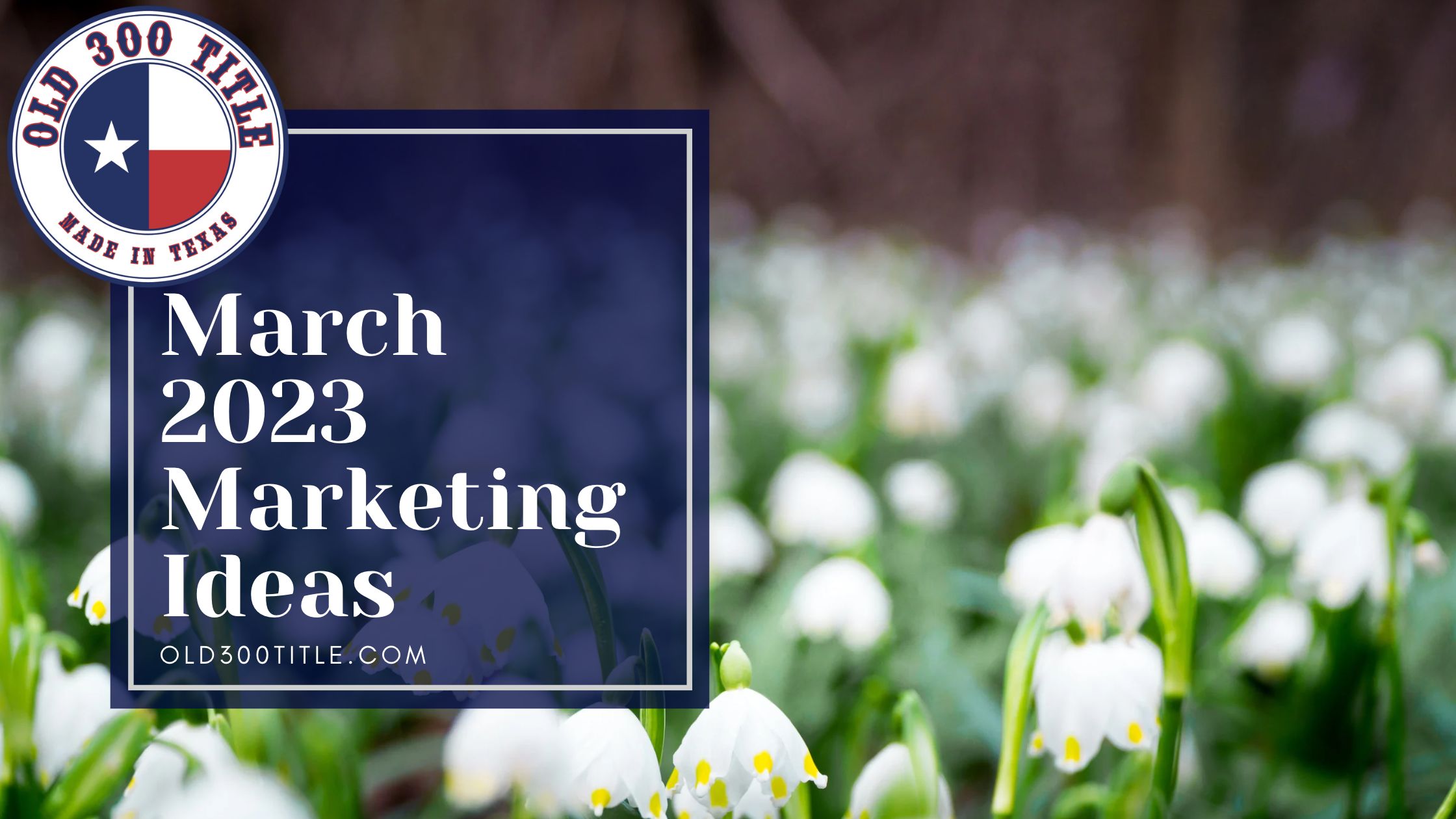 Real Estate Marketing Ideas for March 2023